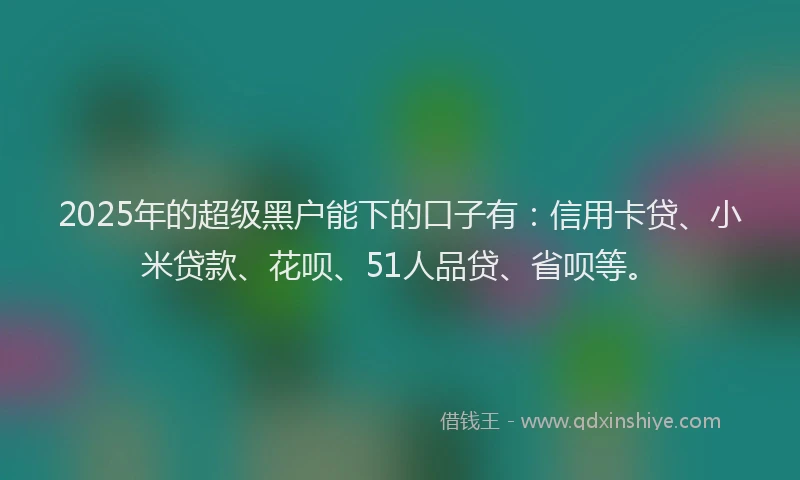 2025年的超级黑户能下的口子有：信用卡贷、小米贷款、花呗、51人品贷、省呗等。