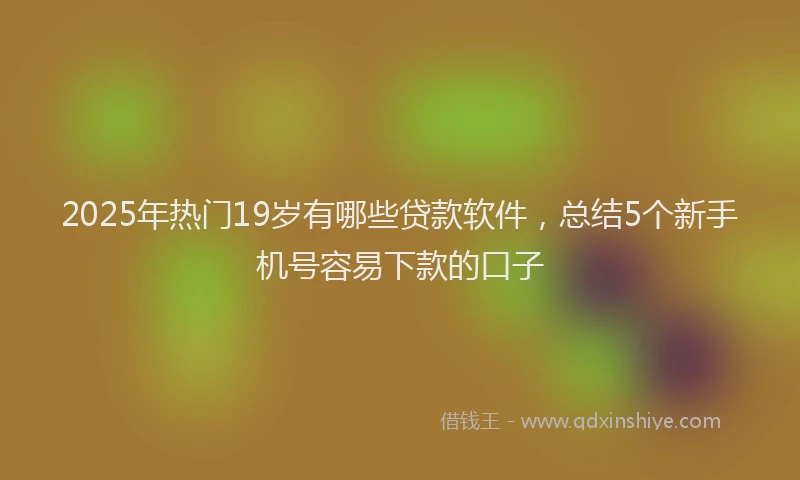 2025年热门19岁有哪些贷款软件，总结5个新手机号容易下款的口子