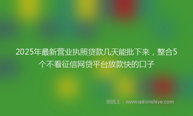 2025年最新营业执照贷款几天能批下来，整合5个不看征信网贷平台放款快的口子