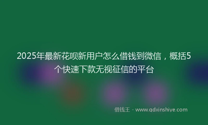 2025年最新花呗新用户怎么借钱到微信，概括5个快速下款无视征信的平台