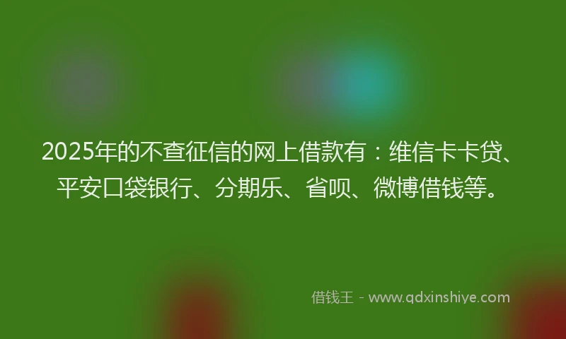 2025年的不查征信的网上借款有：维信卡卡贷、平安口袋银行、分期乐、省呗、微博借钱等。