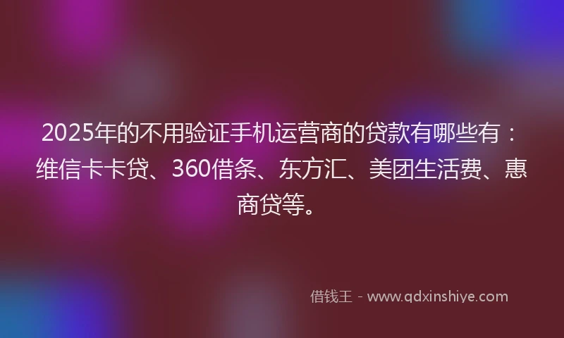 2025年的不用验证手机运营商的贷款有哪些有：维信卡卡贷、360借条、东方汇、美团生活费、惠商贷等。