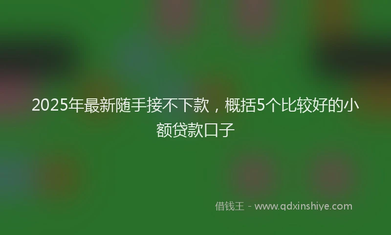 2025年最新随手接不下款，概括5个比较好的小额贷款口子