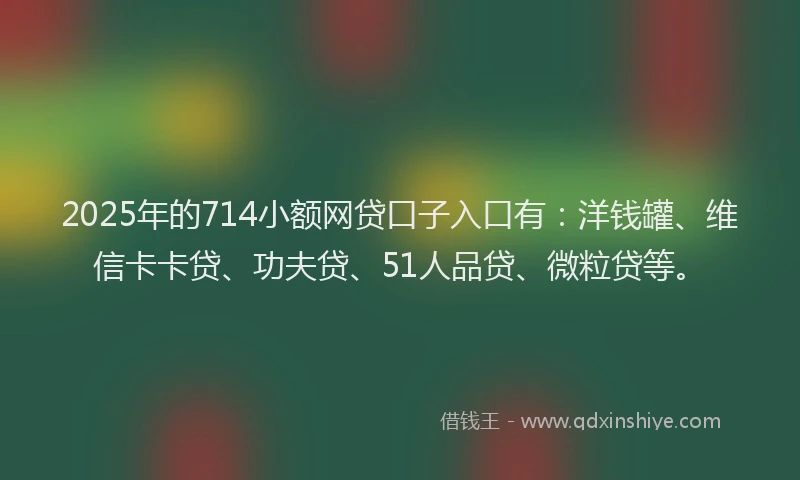 2025年的714小额网贷口子入口有：洋钱罐、维信卡卡贷、功夫贷、51人品贷、微粒贷等。