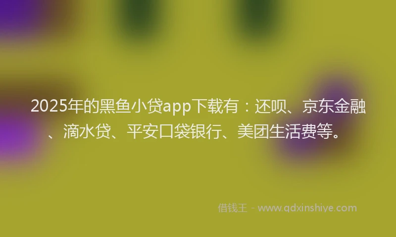 2025年的黑鱼小贷app下载有：还呗、京东金融、滴水贷、平安口袋银行、美团生活费等。