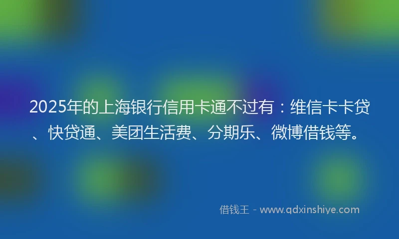 2025年的上海银行信用卡通不过有：维信卡卡贷、快贷通、美团生活费、分期乐、微博借钱等。