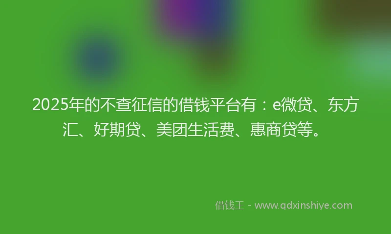 2025年的不查征信的借钱平台有：e微贷、东方汇、好期贷、美团生活费、惠商贷等。
