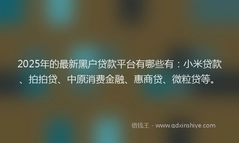 2025年的最新黑户贷款平台有哪些有：小米贷款、拍拍贷、中原消费金融、惠商贷、微粒贷等。