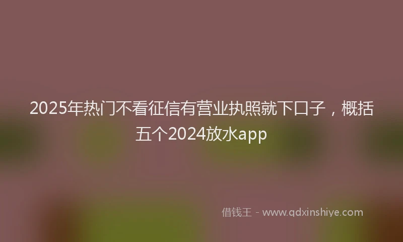 2025年热门不看征信有营业执照就下口子，概括五个2024放水app