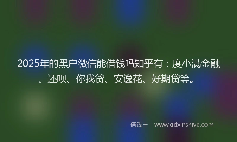 2025年的黑户微信能借钱吗知乎有：度小满金融、还呗、你我贷、安逸花、好期贷等。