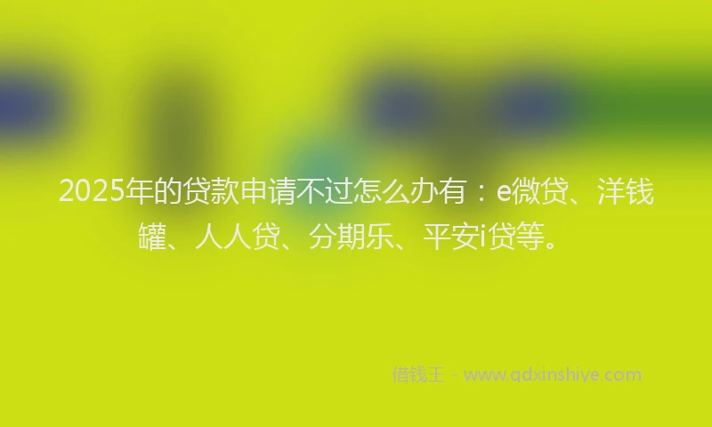 2025年的贷款申请不过怎么办有：e微贷、洋钱罐、人人贷、分期乐、平安i贷等。