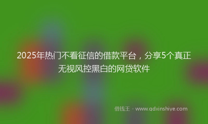 2025年热门不看征信的借款平台，分享5个真正无视风控黑白的网贷软件