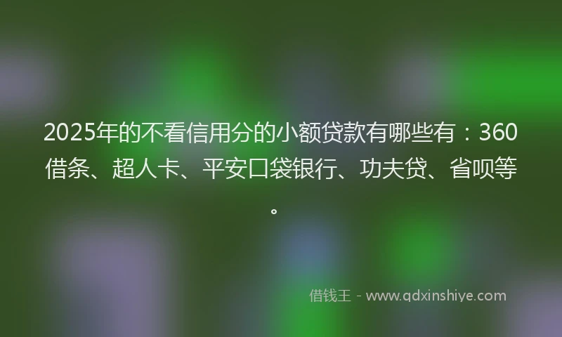 2025年的不看信用分的小额贷款有哪些有：360借条、超人卡、平安口袋银行、功夫贷、省呗等。