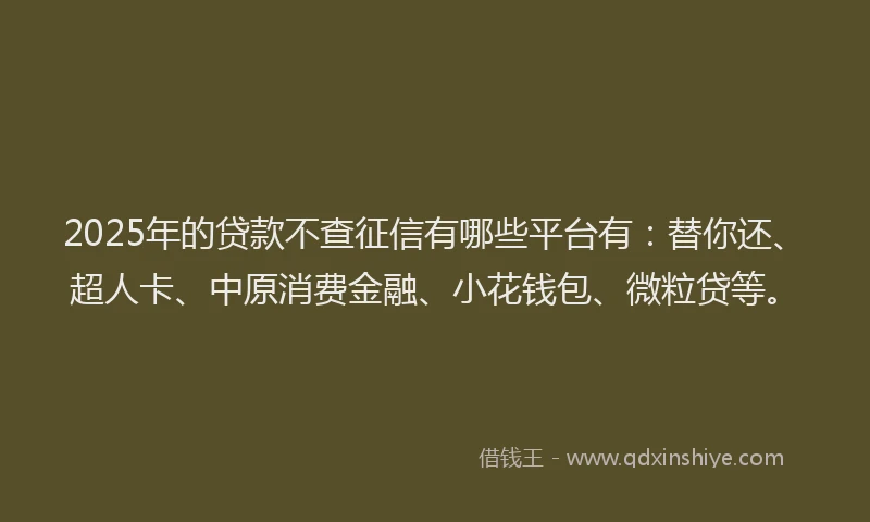 2025年的贷款不查征信有哪些平台有：替你还、超人卡、中原消费金融、小花钱包、微粒贷等。