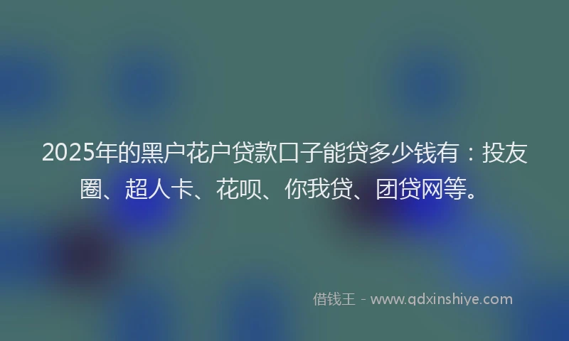 2025年的黑户花户贷款口子能贷多少钱有：投友圈、超人卡、花呗、你我贷、团贷网等。