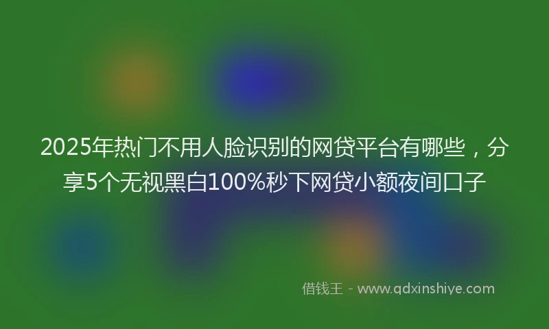 2025年热门不用人脸识别的网贷平台有哪些，分享5个无视黑白100%秒下网贷小额夜间口子