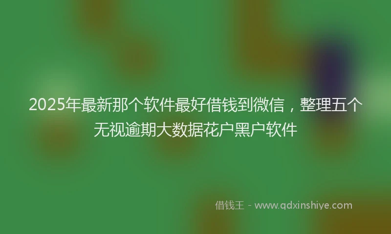 2025年最新那个软件最好借钱到微信，整理五个无视逾期大数据花户黑户软件
