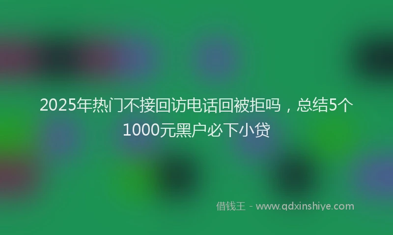 2025年热门不接回访电话回被拒吗，总结5个1000元黑户必下小贷