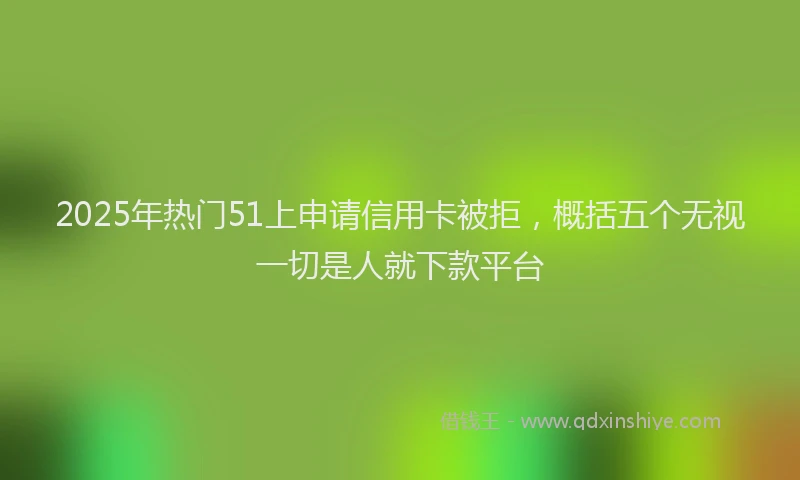 2025年热门51上申请信用卡被拒，概括五个无视一切是人就下款平台