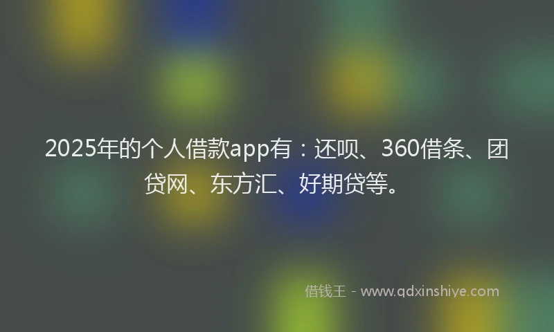 2025年的个人借款app有：还呗、360借条、团贷网、东方汇、好期贷等。