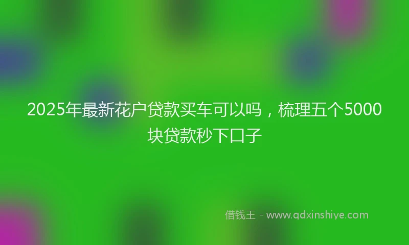2025年最新花户贷款买车可以吗，梳理五个5000块贷款秒下口子
