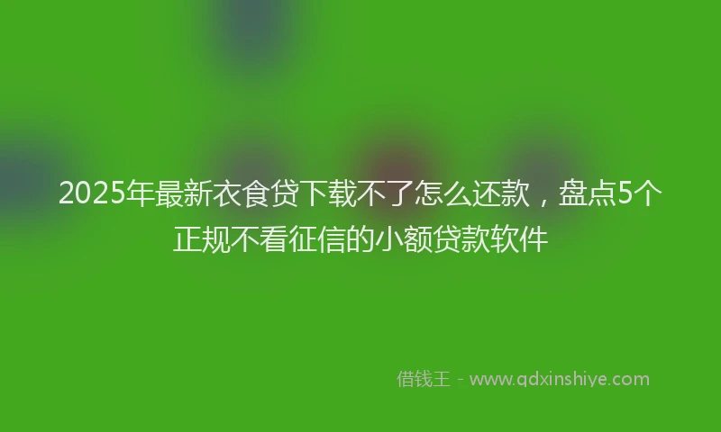 2025年最新衣食贷下载不了怎么还款，盘点5个正规不看征信的小额贷款软件