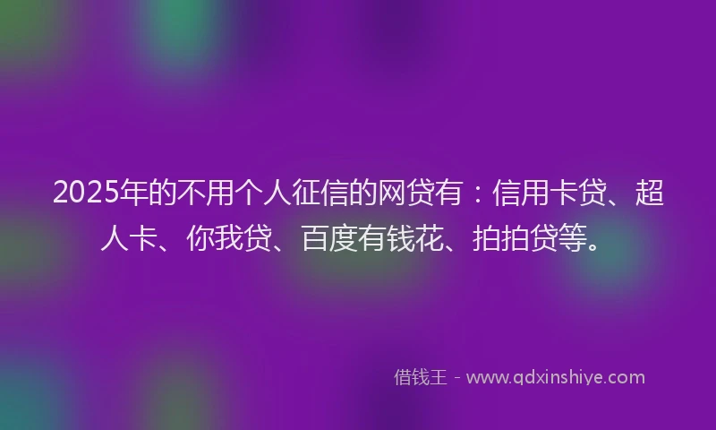 2025年的不用个人征信的网贷有：信用卡贷、超人卡、你我贷、百度有钱花、拍拍贷等。