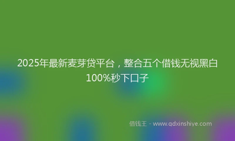 2025年最新麦芽贷平台，整合五个借钱无视黑白100%秒下口子