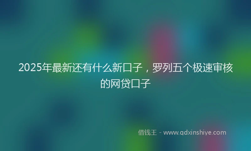 2025年最新还有什么新口子，罗列五个极速审核的网贷口子