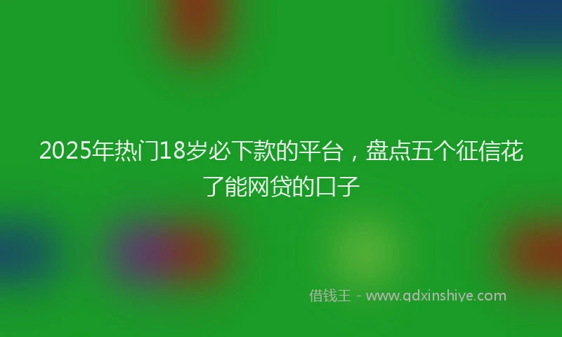 2025年热门18岁必下款的平台，盘点五个征信花了能网贷的口子