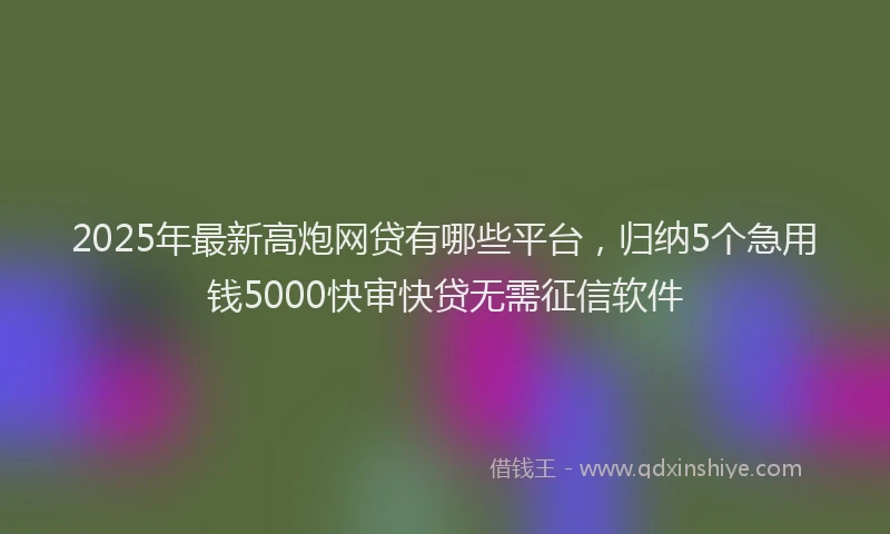 2025年最新高炮网贷有哪些平台，归纳5个急用钱5000快审快贷无需征信软件