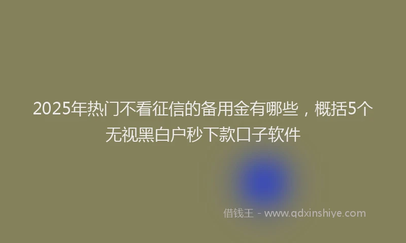 2025年热门不看征信的备用金有哪些，概括5个无视黑白户秒下款口子软件
