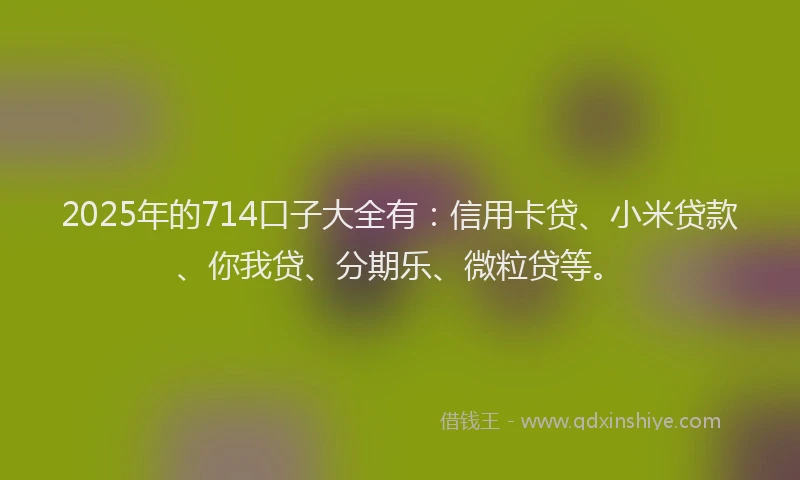 2025年的714口子大全有：信用卡贷、小米贷款、你我贷、分期乐、微粒贷等。