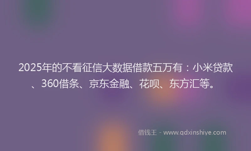 2025年的不看征信大数据借款五万有：小米贷款、360借条、京东金融、花呗、东方汇等。