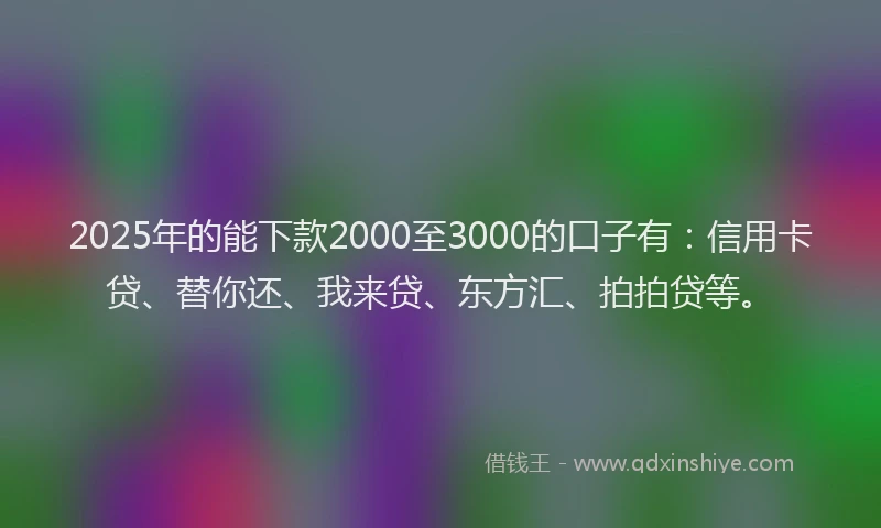 2025年的能下款2000至3000的口子有：信用卡贷、替你还、我来贷、东方汇、拍拍贷等。