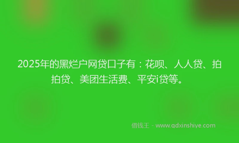 2025年的黑烂户网贷口子有：花呗、人人贷、拍拍贷、美团生活费、平安i贷等。