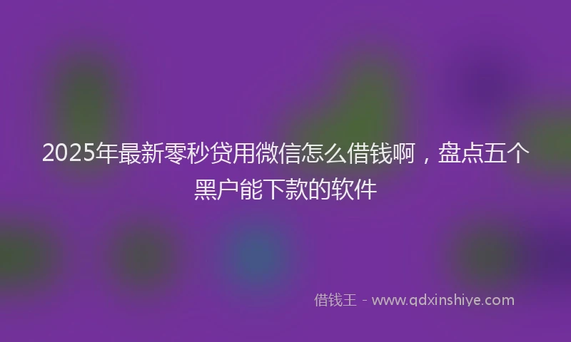 2025年最新零秒贷用微信怎么借钱啊，盘点五个黑户能下款的软件