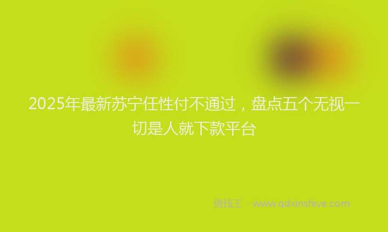 2025年最新苏宁任性付不通过，盘点五个无视一切是人就下款平台