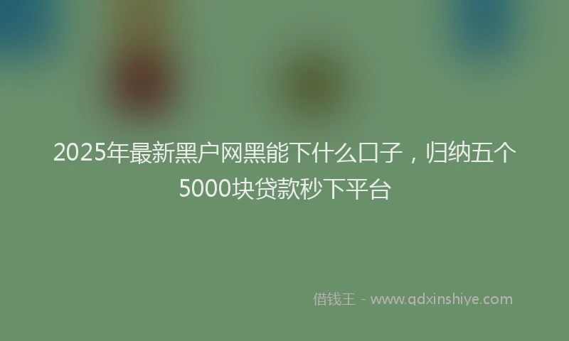2025年最新黑户网黑能下什么口子，归纳五个5000块贷款秒下平台