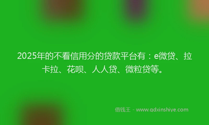 2025年的不看信用分的贷款平台有：e微贷、拉卡拉、花呗、人人贷、微粒贷等。