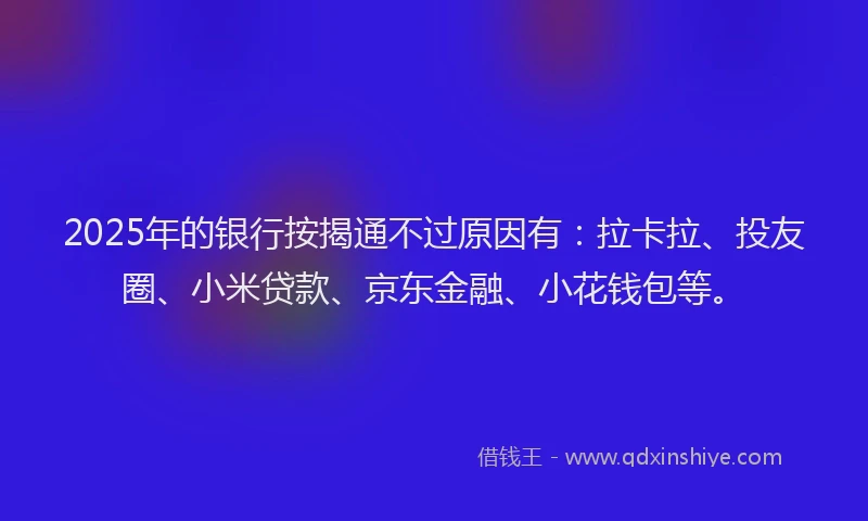 2025年的银行按揭通不过原因有：拉卡拉、投友圈、小米贷款、京东金融、小花钱包等。