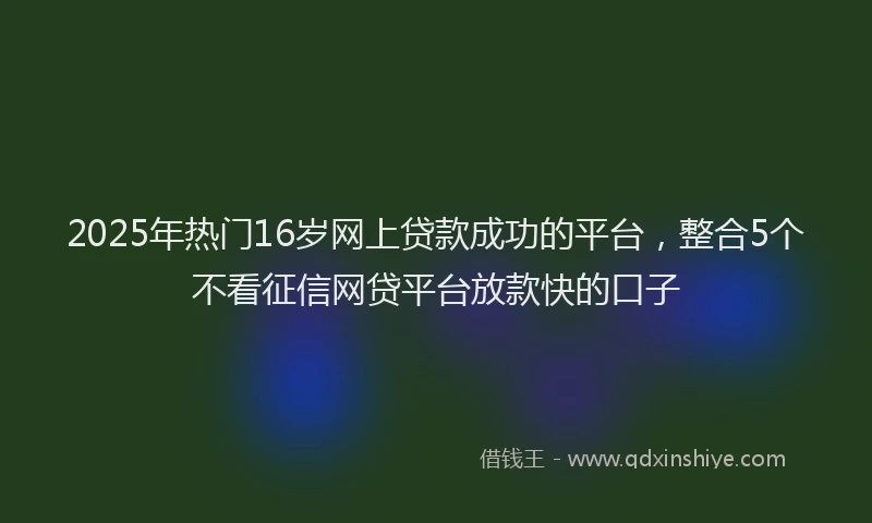 2025年热门16岁网上贷款成功的平台，整合5个不看征信网贷平台放款快的口子
