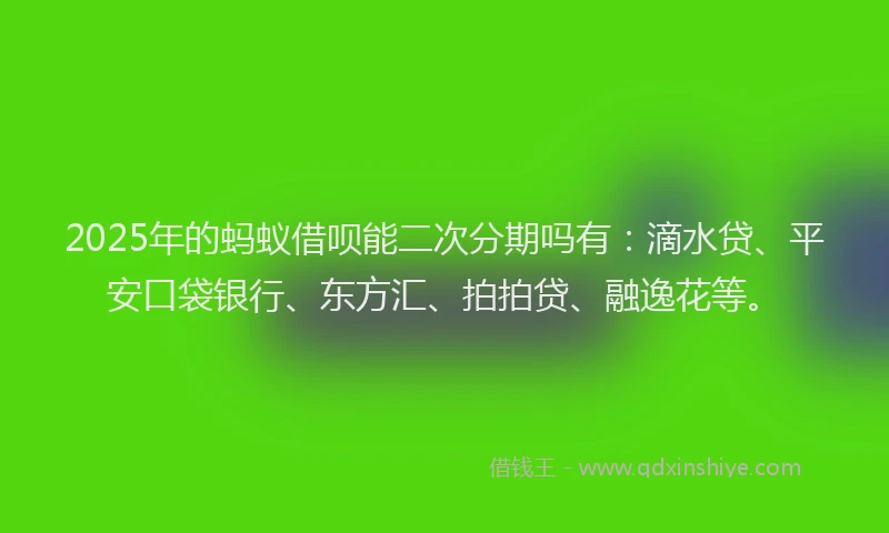 2025年的蚂蚁借呗能二次分期吗有：滴水贷、平安口袋银行、东方汇、拍拍贷、融逸花等。