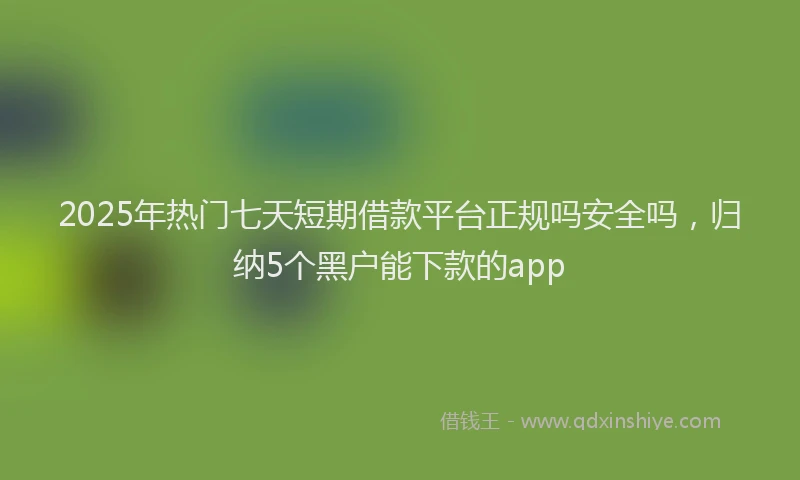 2025年热门七天短期借款平台正规吗安全吗，归纳5个黑户能下款的app