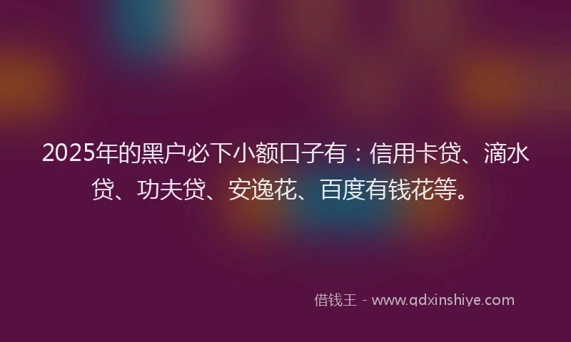 2025年的黑户必下小额口子有：信用卡贷、滴水贷、功夫贷、安逸花、百度有钱花等。