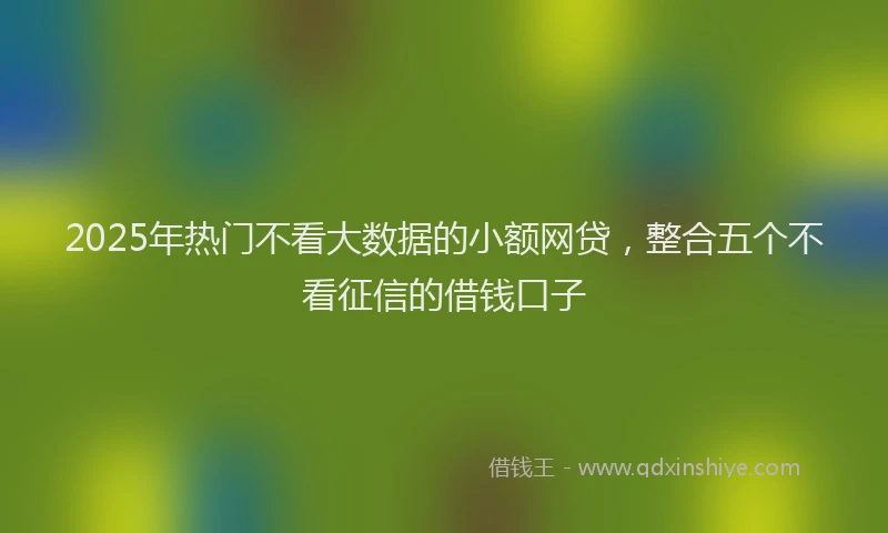 2025年热门不看大数据的小额网贷，整合五个不看征信的借钱口子