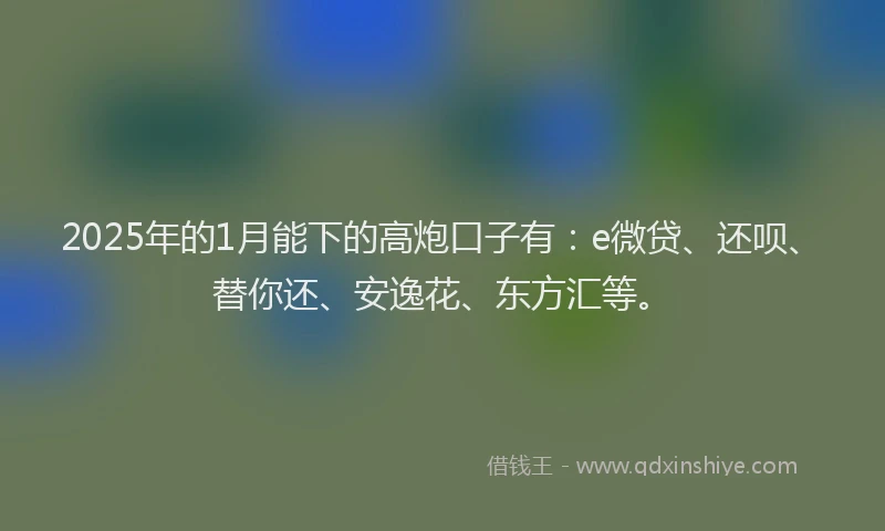 2025年的1月能下的高炮口子有：e微贷、还呗、替你还、安逸花、东方汇等。