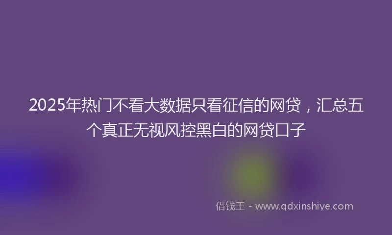 2025年热门不看大数据只看征信的网贷，汇总五个真正无视风控黑白的网贷口子