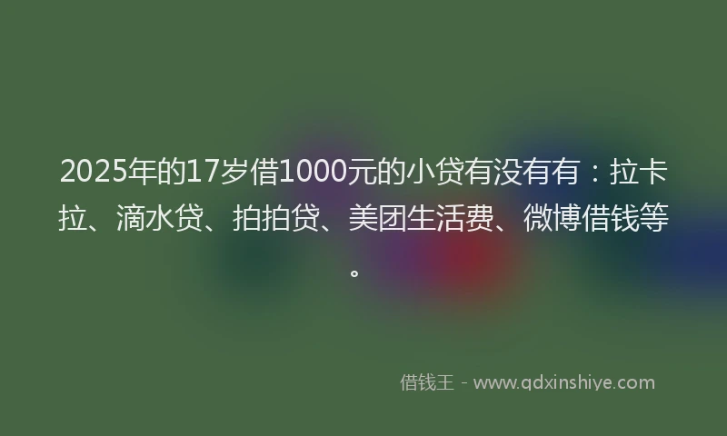 2025年的17岁借1000元的小贷有没有有：拉卡拉、滴水贷、拍拍贷、美团生活费、微博借钱等。