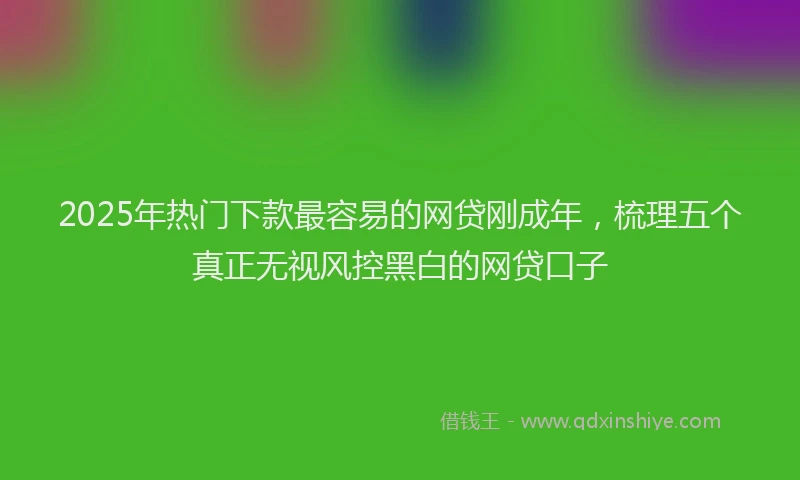 2025年热门下款最容易的网贷刚成年，梳理五个真正无视风控黑白的网贷口子